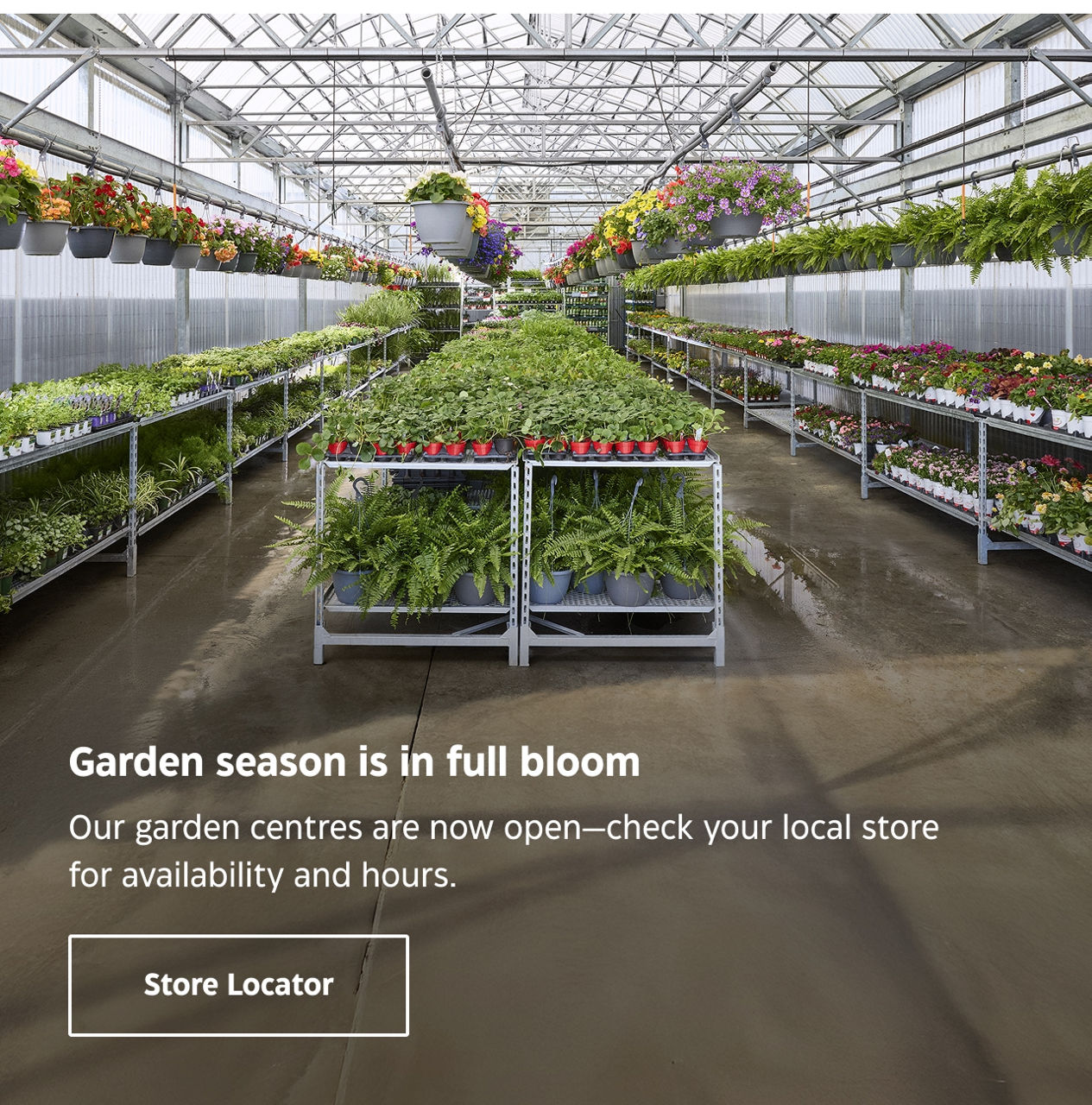 Garden season is in full bloom. Our garden centres are now open—check your local store for availability and hours. Store Locator.