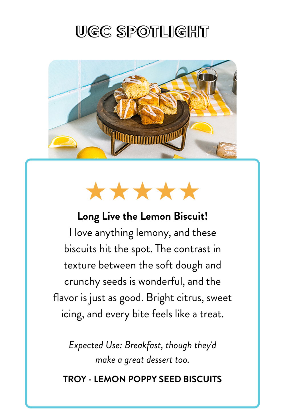 Long Live the Lemon Biscuit! I love anything lemony, and these biscuits hit the spot. The contrast in texture between the soft dough and crunchy seeds is wonderful, and the flavor is just as good. Bright citrus, sweet icing, and every bite feels like a treat.  Expected Use: Breakfast, though they'd make a great dessert too.
