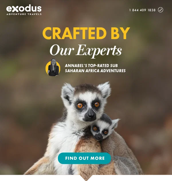 Crafted by Our Experts - NAM - Wildlife