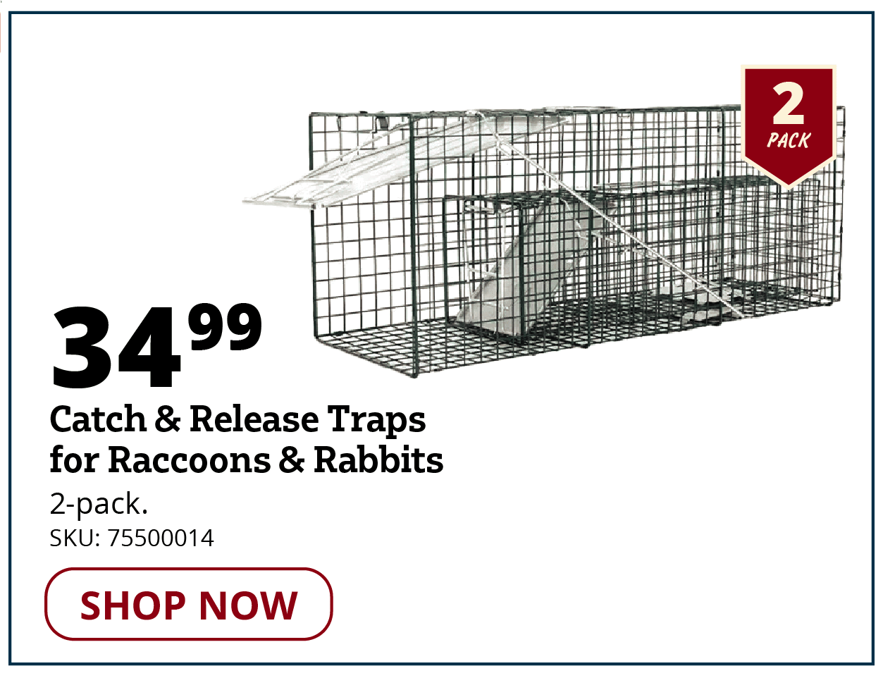Catch & Release Traps
