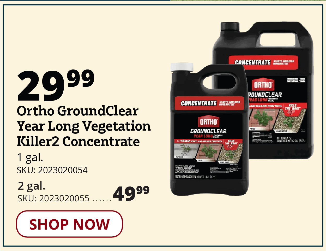 Ortho Vegetation Killer2 Concentrate