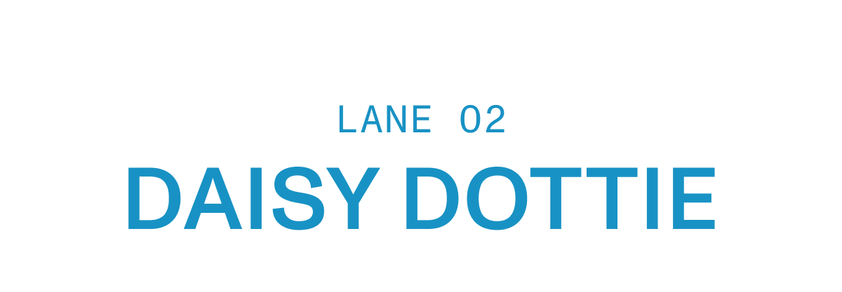 Lane 02 - Daisy Dottie