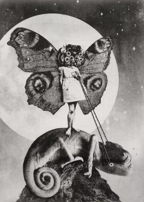 Jaco Putker