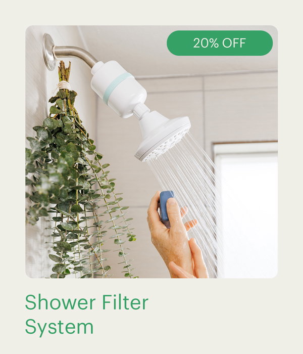 Shower Filter System