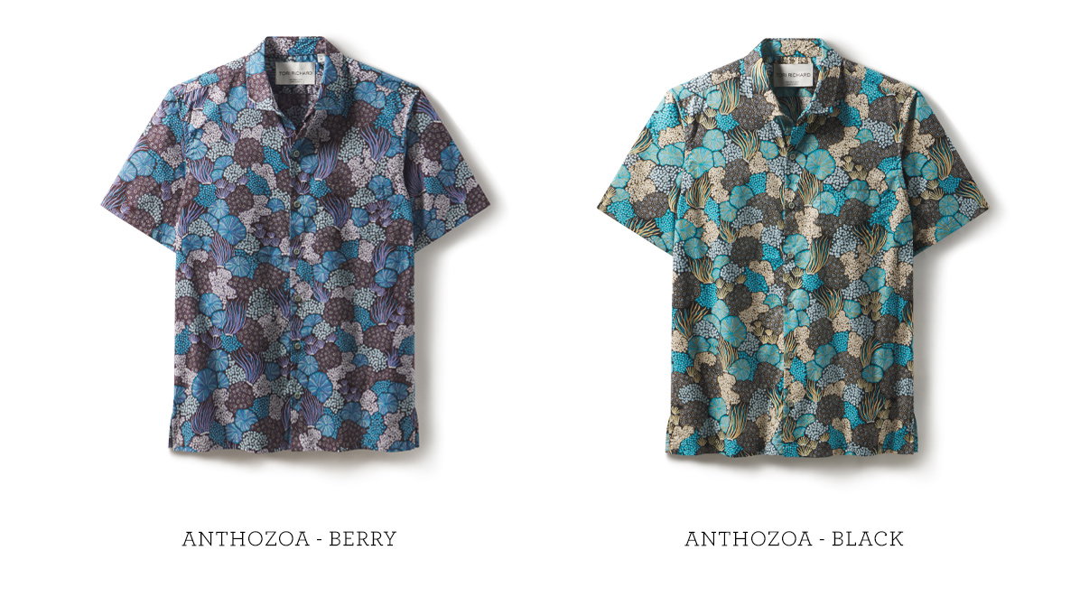 Shop Anthozoa