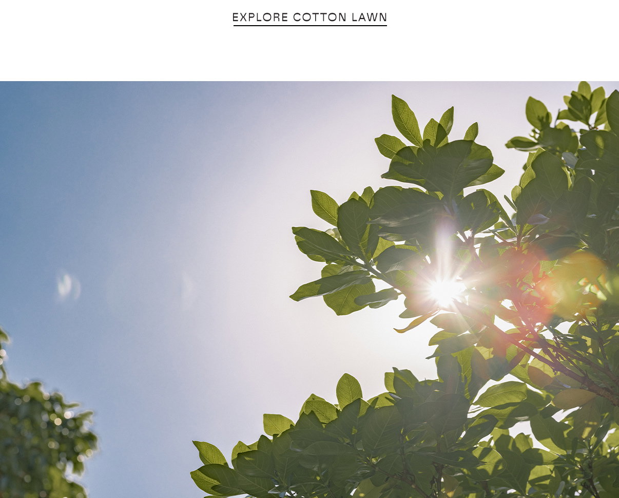 Explore Cotton Lawn