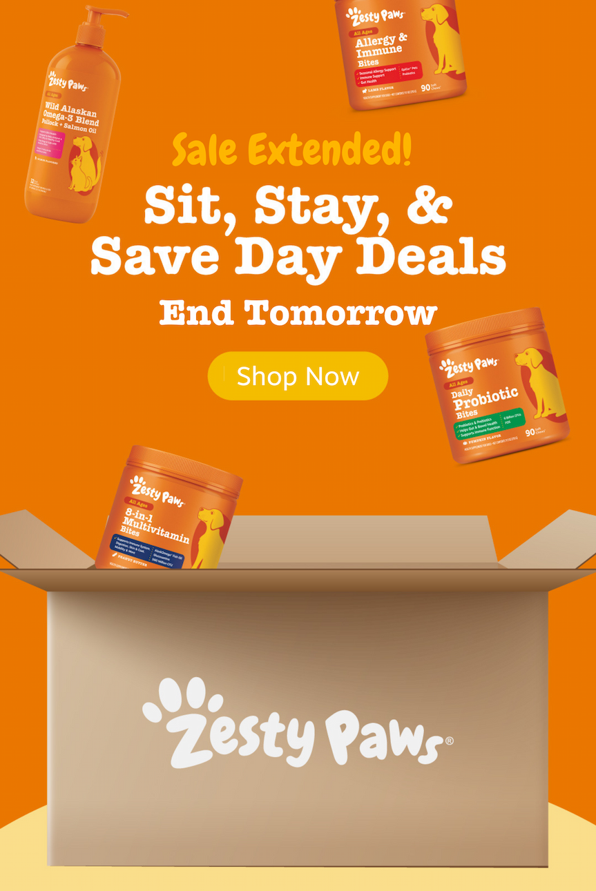Sale Extended! Sit, Stay, & Save Day Deals End Tomorrow! Shop Now