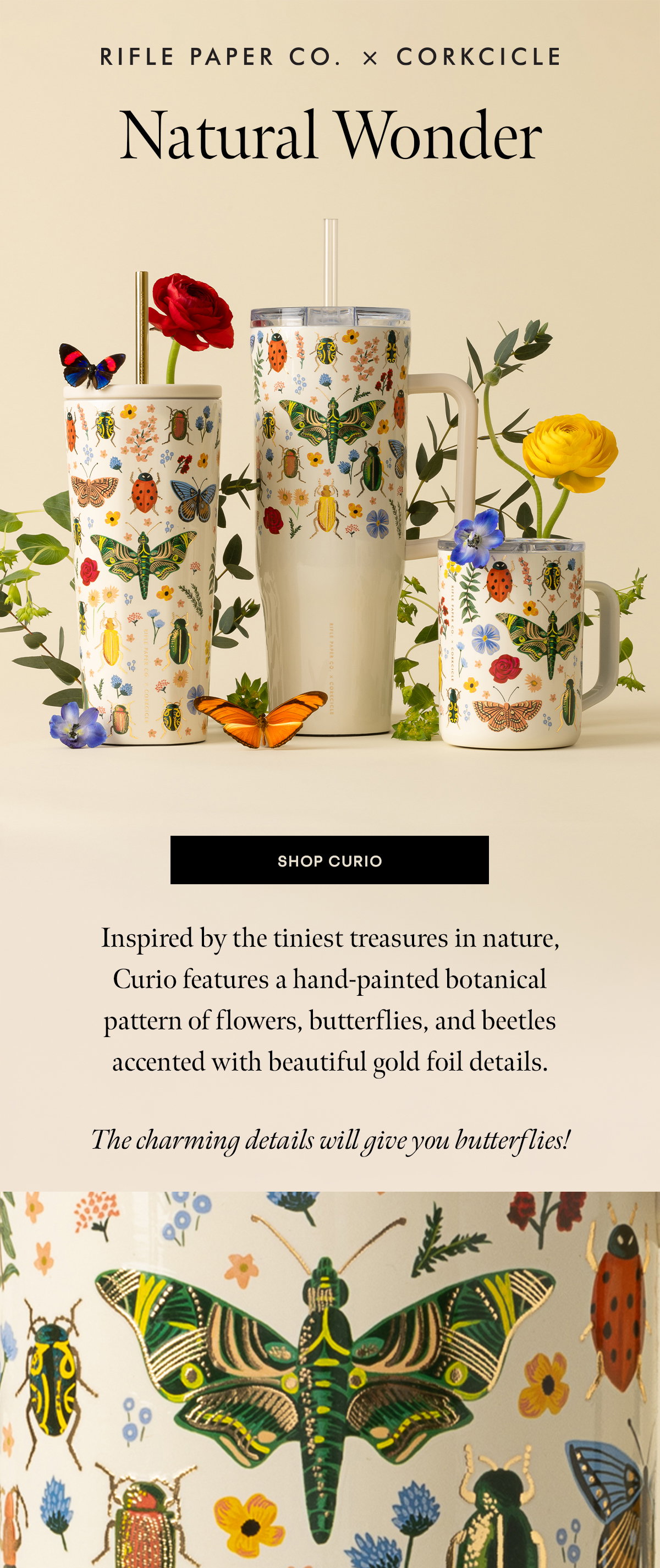 Shop Rifle Paper Co. Curio 