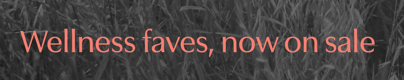 Wellness faves, now on sale. Shop Wellness on Sale