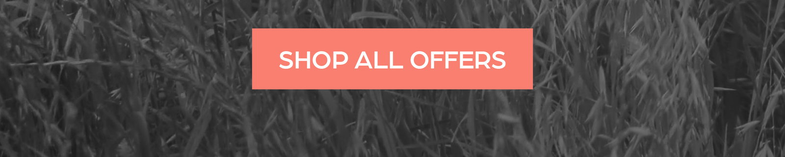 Shop all offers
