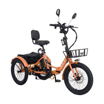 Vesla Folding E-Trike w/RunFlat Tires & Accessories