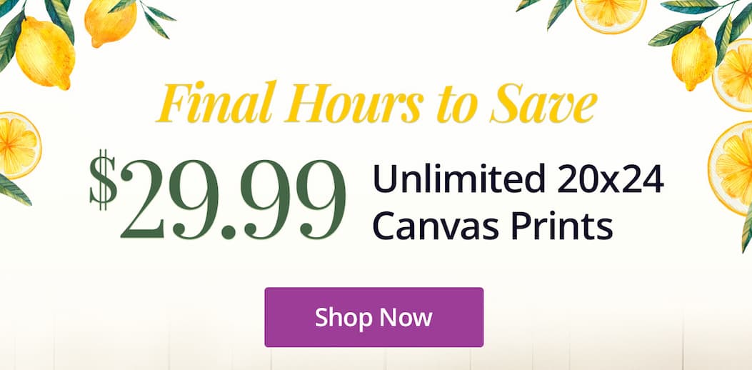 Final hours to save! Unlimited 20x24 Canvas Prints for $29.99 each! Shop Now