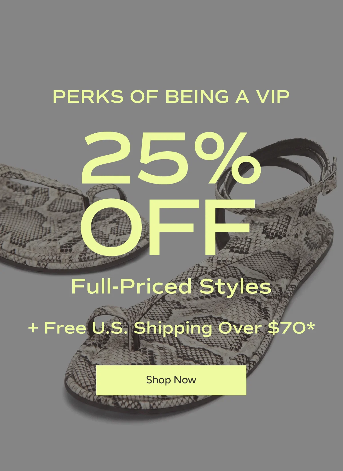 SHOP NOW