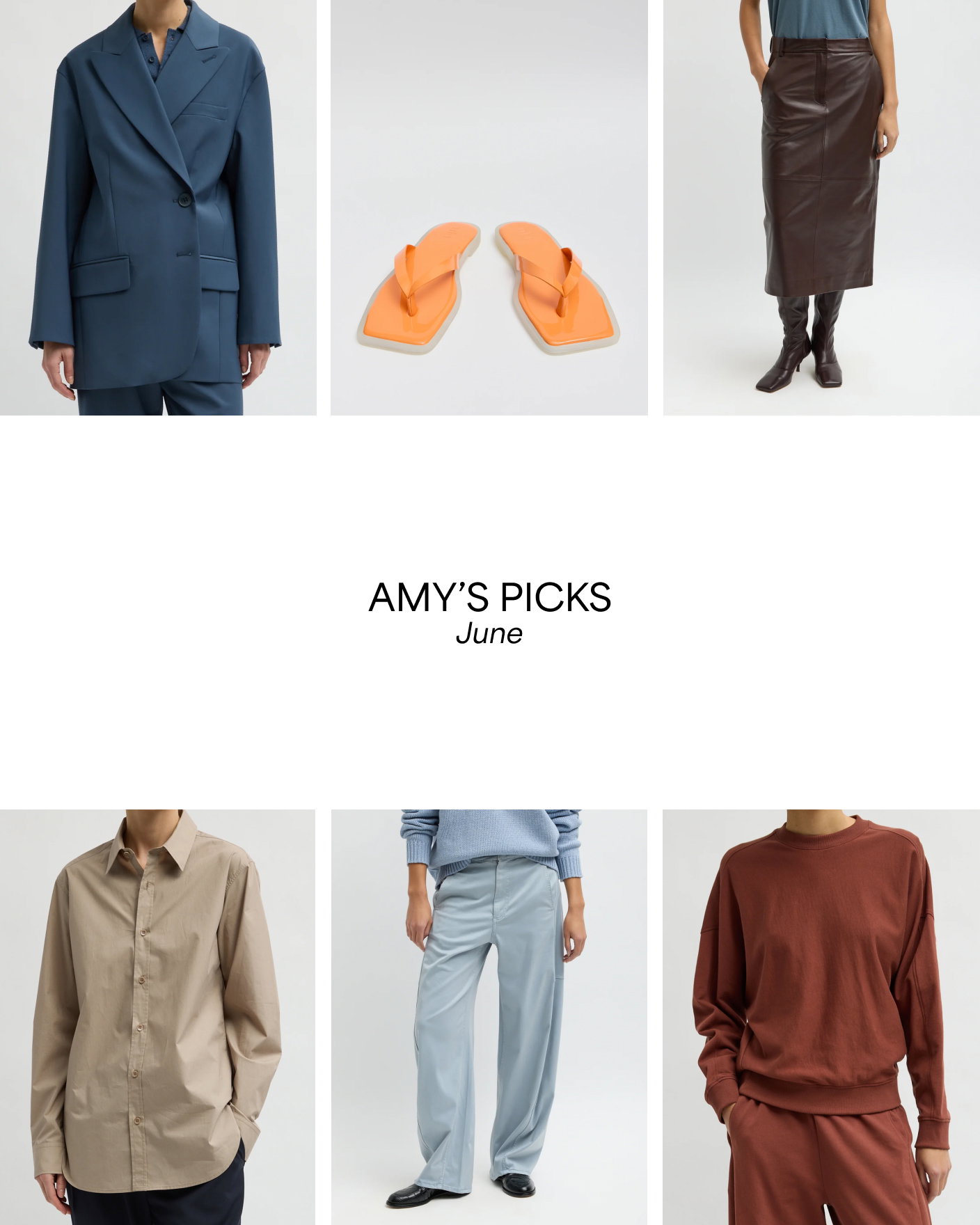 Amy's Picks