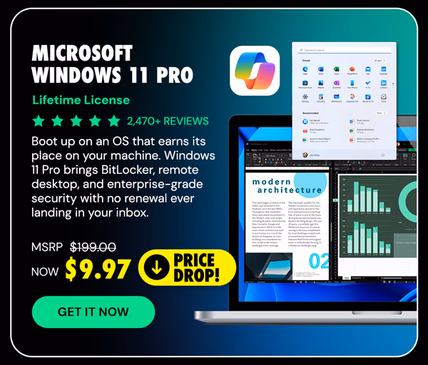 Microsoft Windows 11 Pro