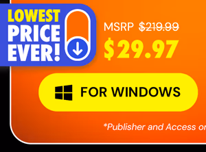Microsoft Office Professional 2021 for Windows: Lifetime License
