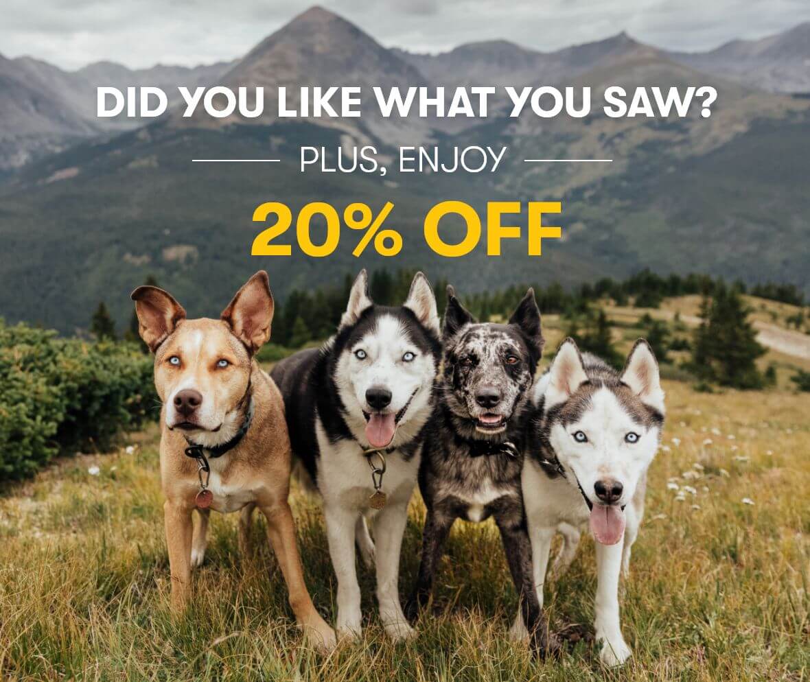 Did you like what you saw? Plus enjoy 20% OFF