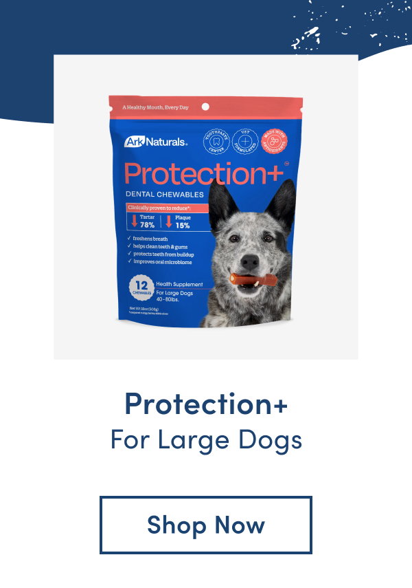 Shop Protection+ for large dogs