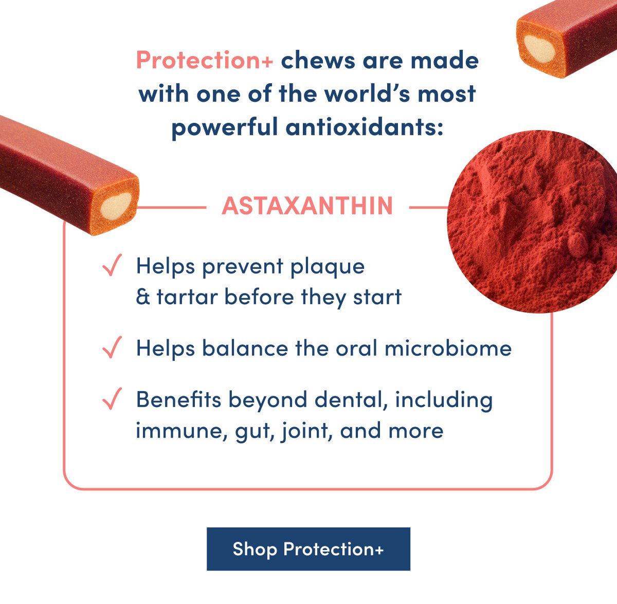 Shop Protection+