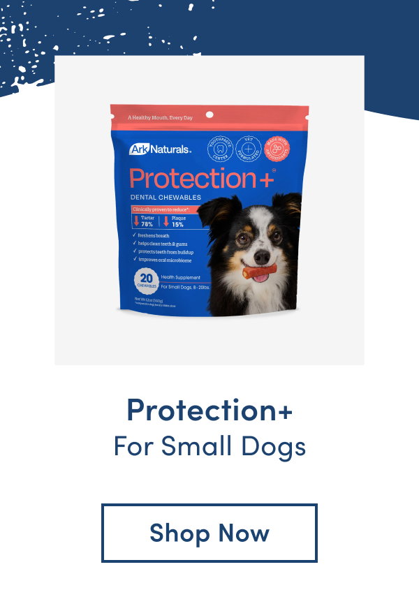 Shop Protection+ for small dogs