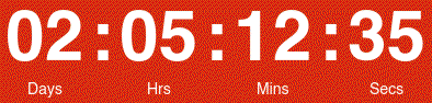 Countdown Timer