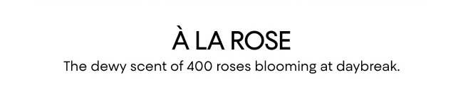 A la rose