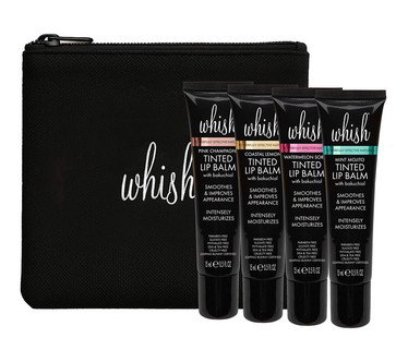 Whish 4pc Assorted Gloss & Go Lip Balm Set w/ Travel Bag