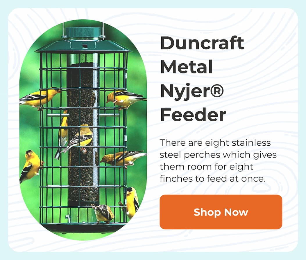 Duncraft Metal Nyjer® Feeder