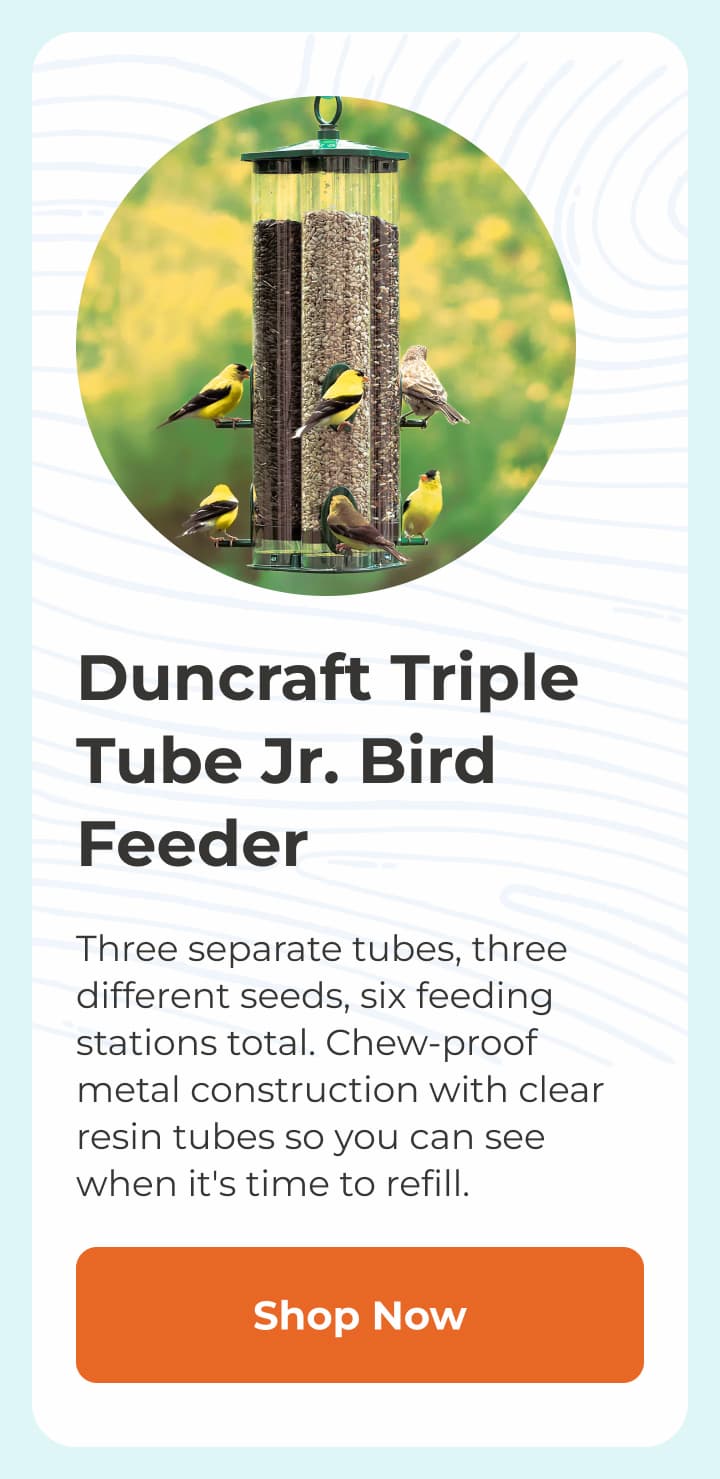 Duncraft Triple Tube Jr. Bird Feeder