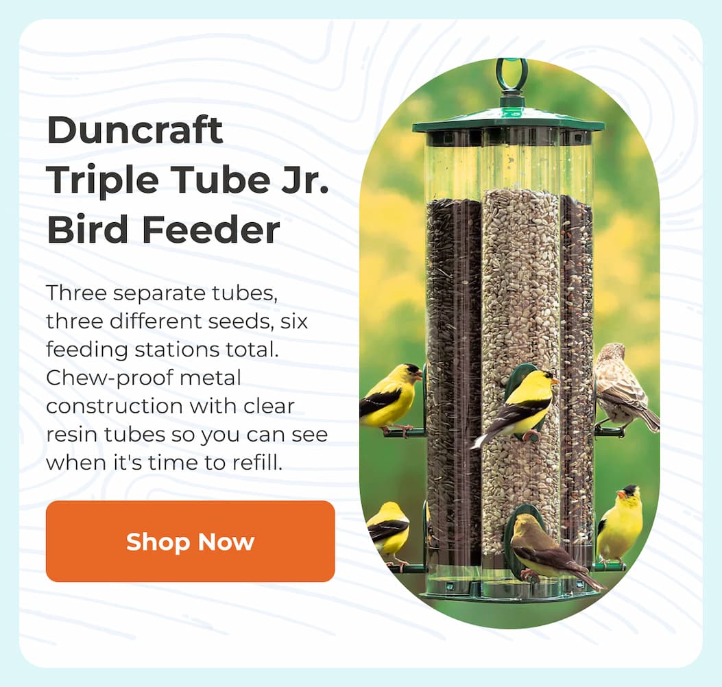 Duncraft Triple Tube Jr. Bird Feeder