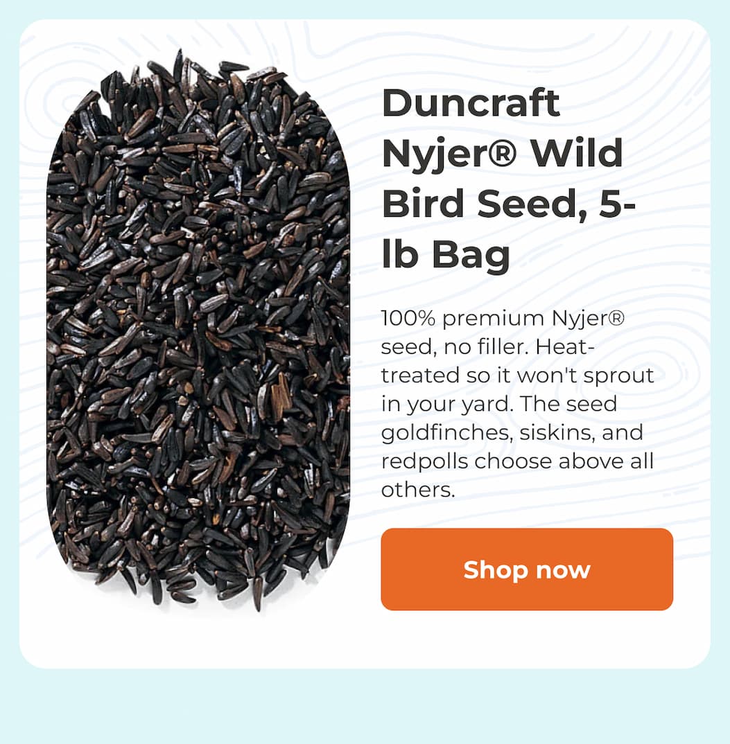 Duncraft Nyjer® Wild Bird Seed, 5-lb Bag