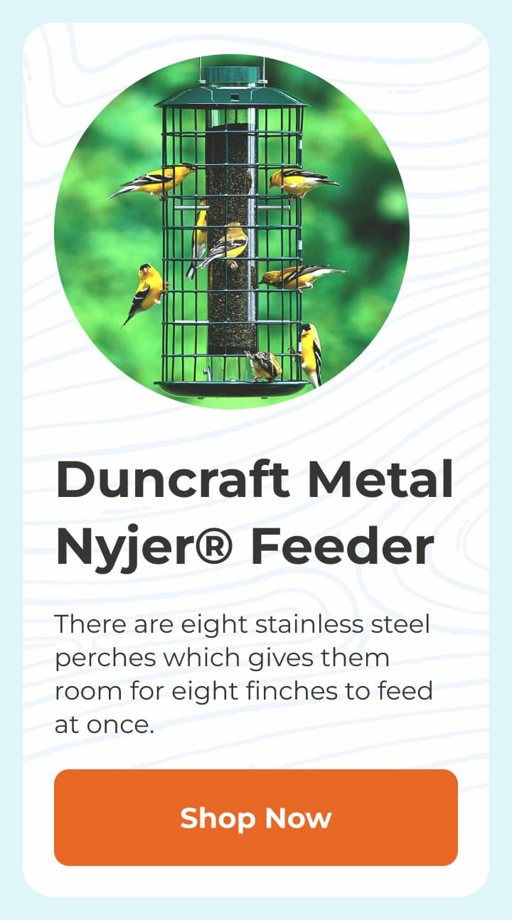 Duncraft Metal Nyjer® Feeder