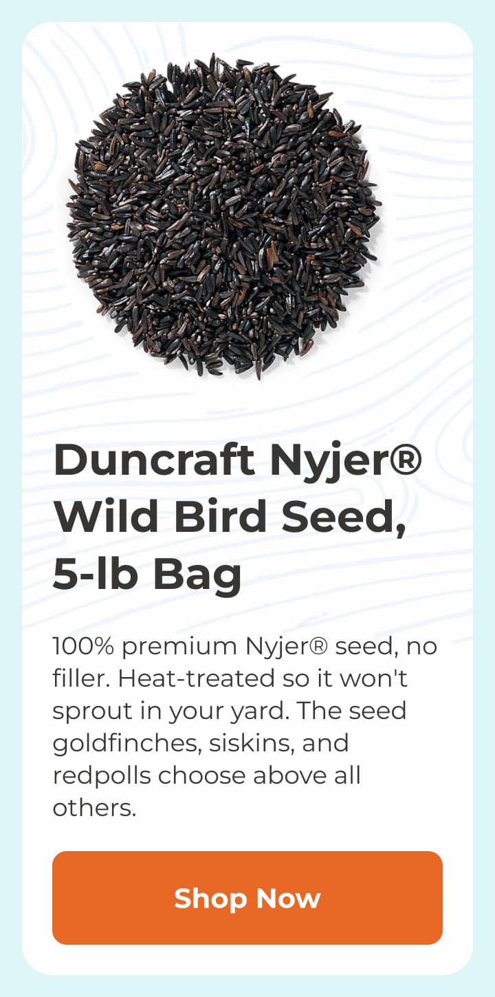 Duncraft Nyjer® Wild Bird Seed, 5-lb Bag