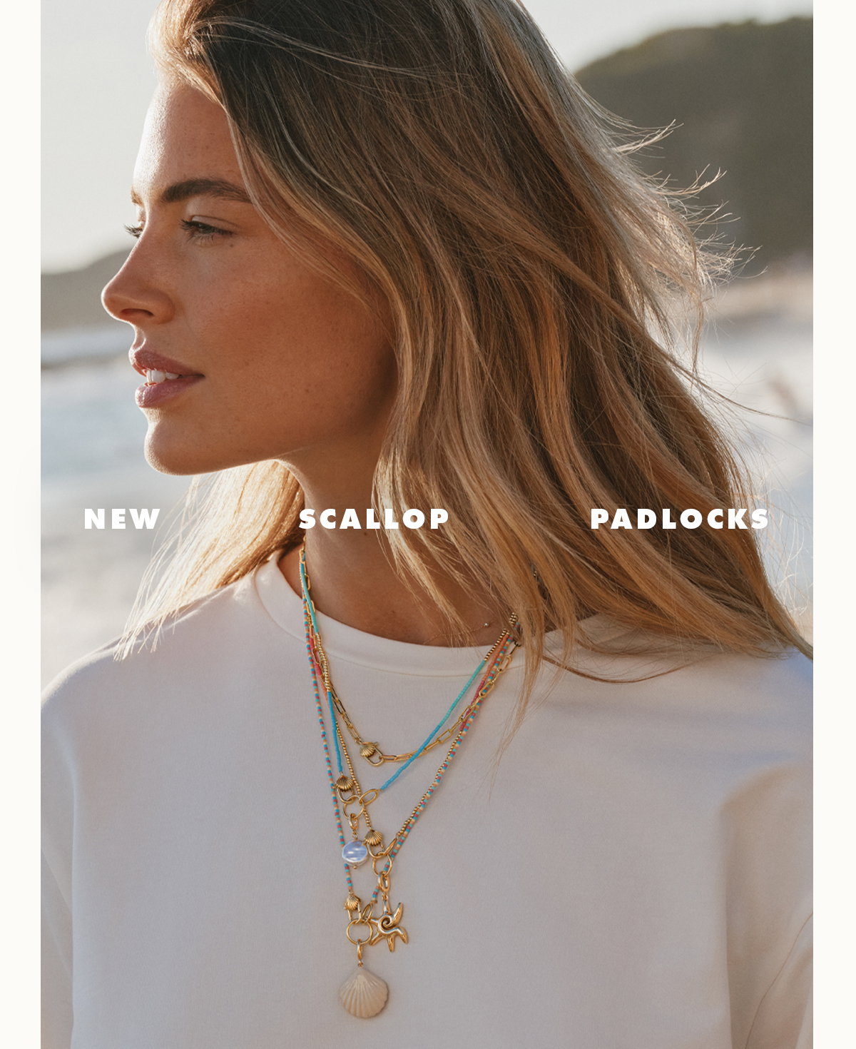 New Scallop Padlocks