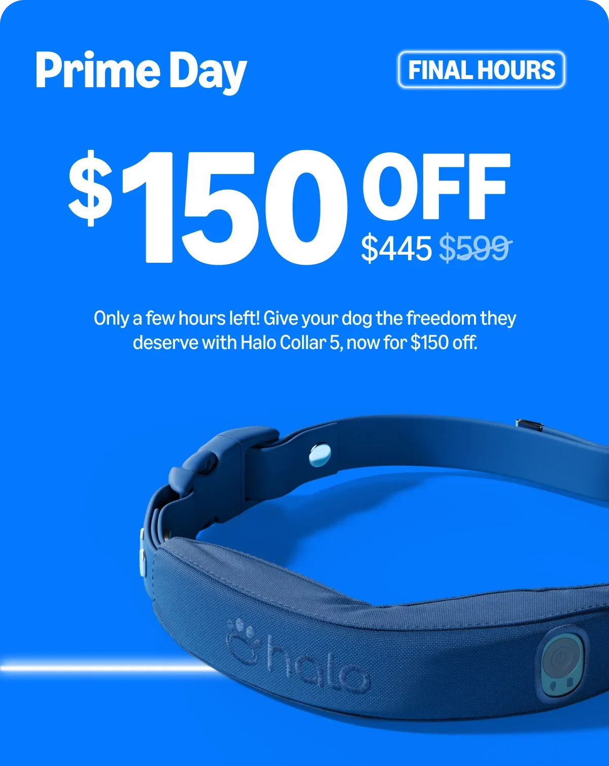 There are only a few hours left to save 25% on Halo Collar 5. Take advantage of our lowest price ever at $445 before the offer ends tonight.