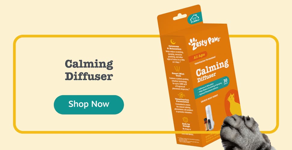 Calming Diffuser for Cats: Shop Now