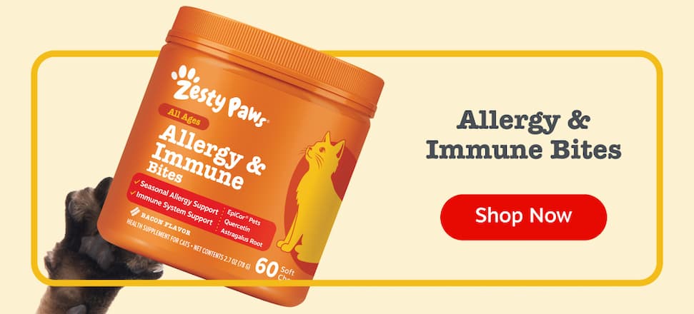 Allergy & Immune Bites for Cats: Shop Now