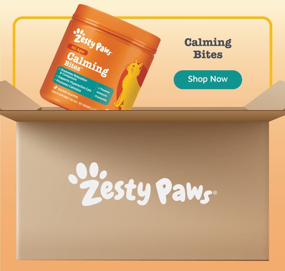 Calming Bites for Cats: Shop Now