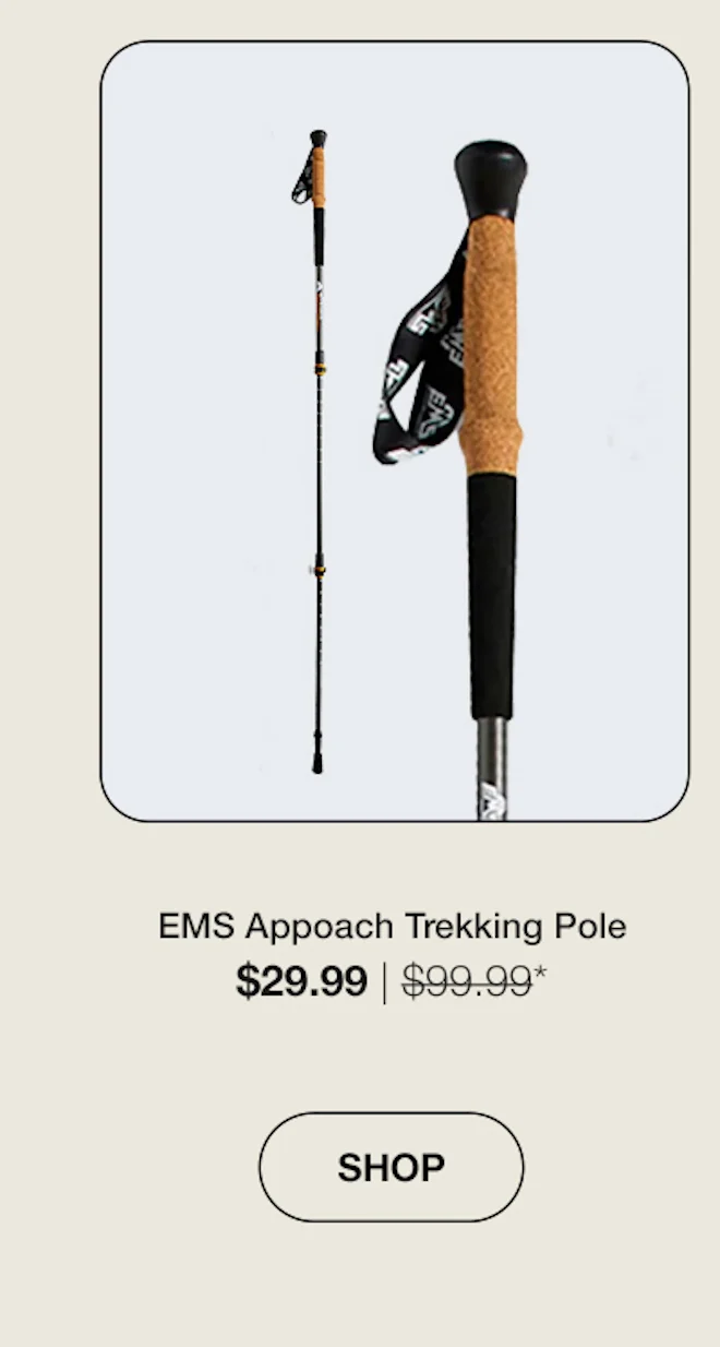 EMS Appoach Trekking Pole