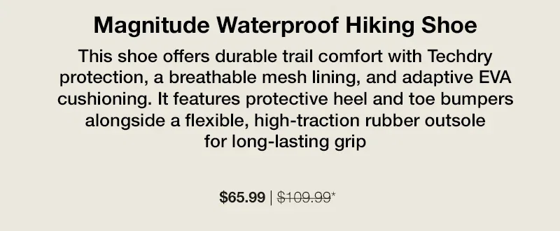 Hiking Shoe