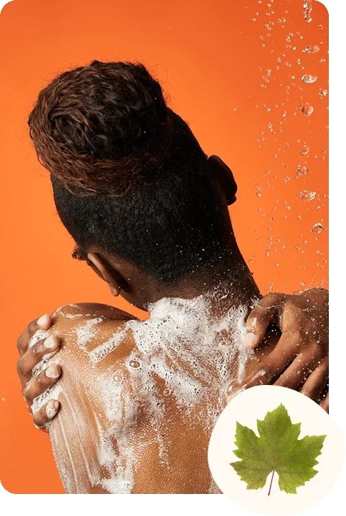 The Olive Branch Shower Gel