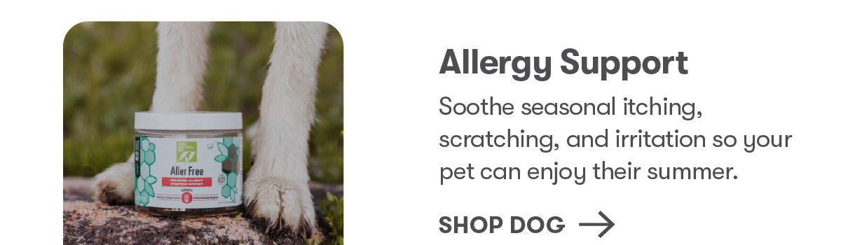 Shop Dog Allergy Support