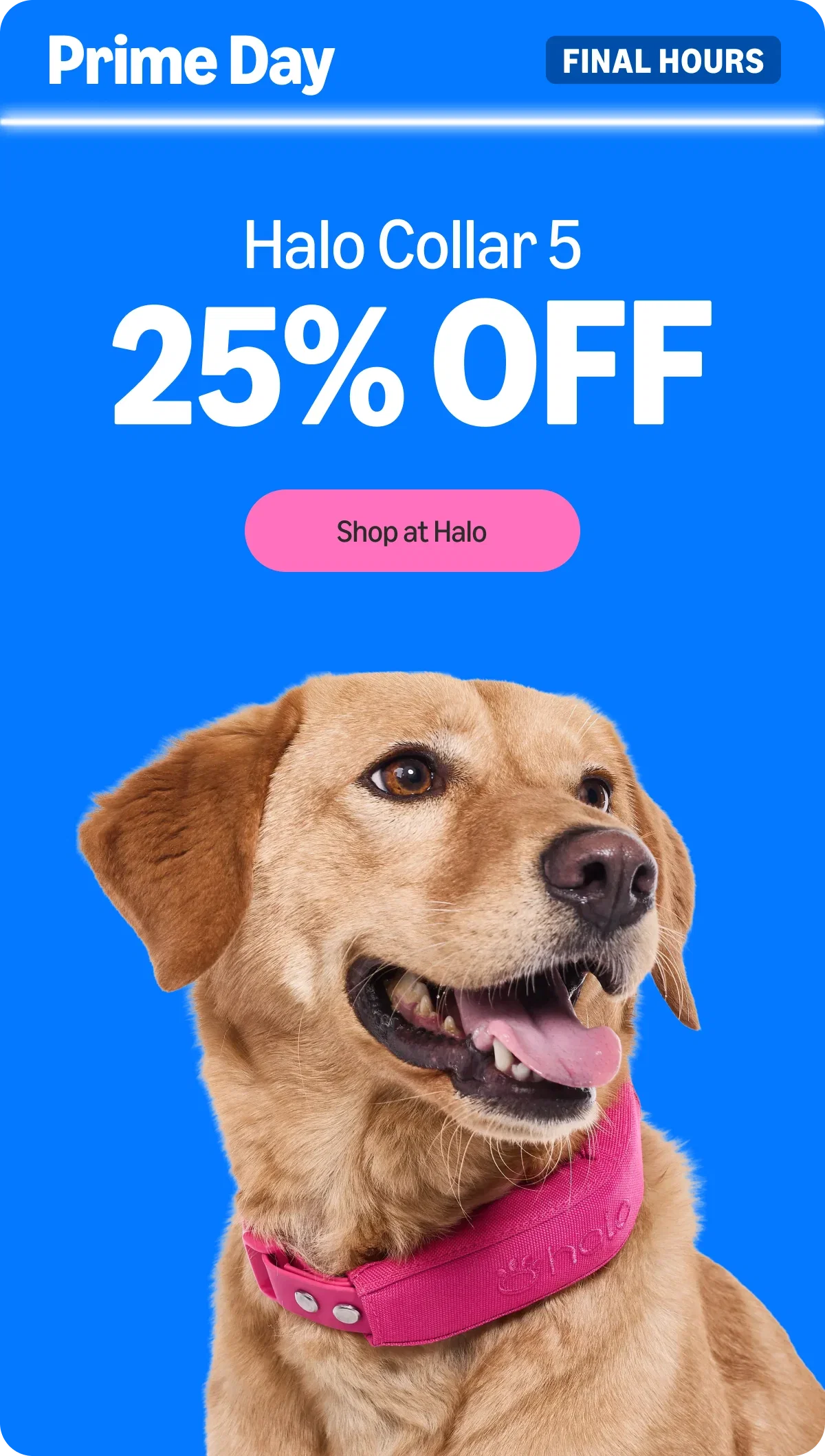 The clock is almost up on the Prime Day Sale. Halo Collar 5 is $445 and this is your very last chance to lock $150 off before the deal closes for good tonight.