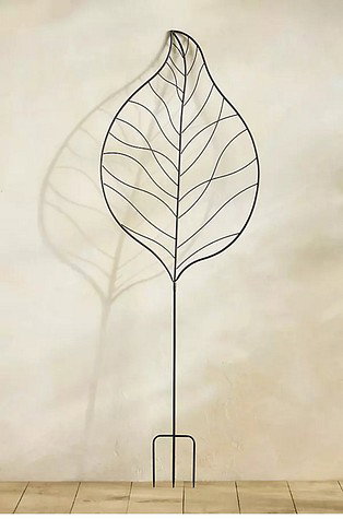 Product 8