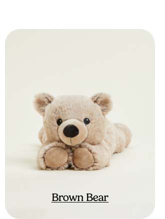 Shop Brown Bear