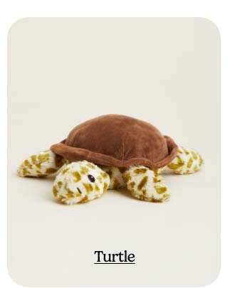 Shop Turtle
