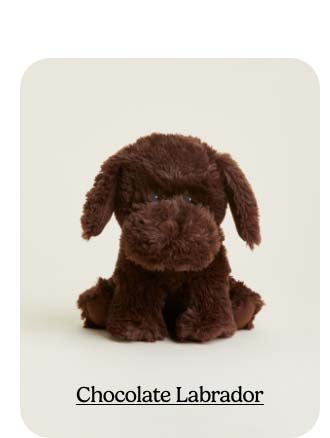 Shop Chocolate Labrador