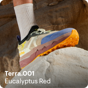 Terra.001 Eucalyptus