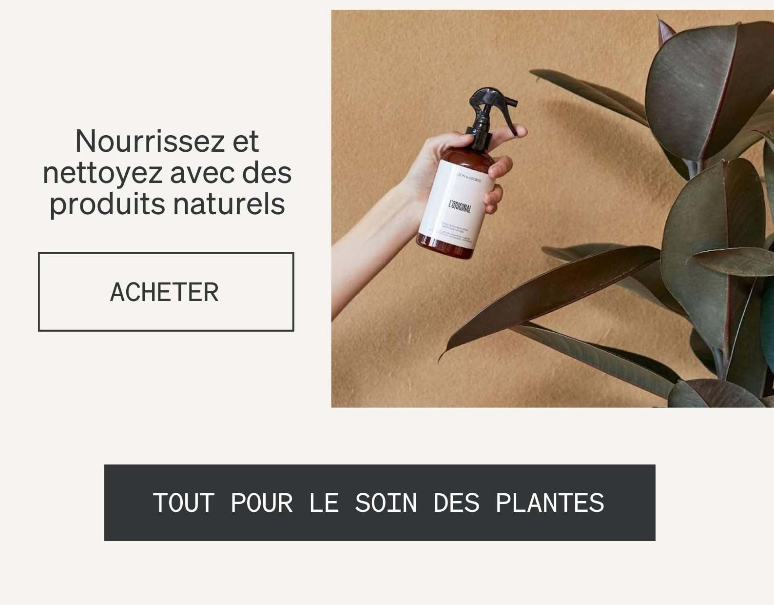 Soins des plantes