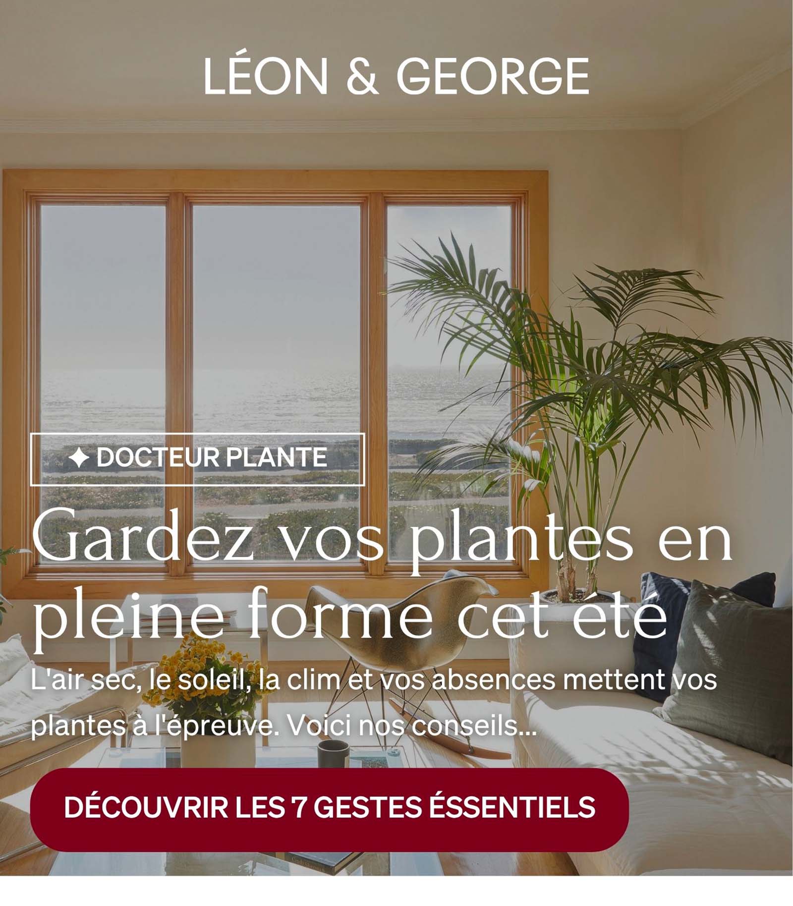 7 gestes pour vos plantes